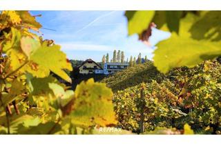 Gewerbeimmobilie kaufen in Kranach 75, 8463 Leutschach, INVESTOREN aufgepasst! Weingut mit Gästezimmer, drei Betriebswohnungen in Leutschacher Aussichtslage PROVISIONSFREI