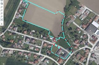 Grundstück zu kaufen in 4623 Gunskirchen, Alter Bauernhof mit ca. 5000 m2 Dorfgebietswidmung und ca. 23.000 m2 Bauerwartungsland plus weitere Liegenschaften