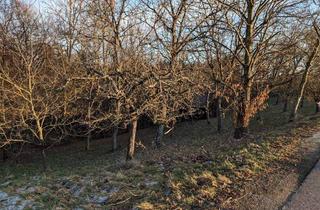 Grundstück zu kaufen in 8332 Edelsbach bei Feldbach, Großes Gartengrundstück in ruhiger Lage