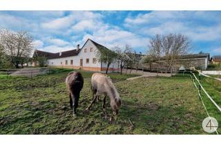 Haus kaufen in 3862 Wielings, Generalsanierter 4-Kanter für Pferdehaltung, 3 Hektar