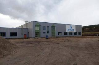 Büro zu mieten in 2752 Wöllersdorf, Halle mit Industrieboden