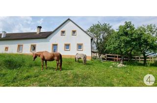 Gewerbeimmobilie kaufen in 3862 Wielings, PROVISIONSFREI- Generalsanierter 4-Kanter für Pferdehaltung, 3 Hektar