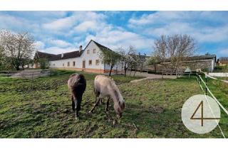 Haus kaufen in 3862 Eisgarn, Generalsanierter 4-Kanter für Pferdehaltung, 3 Hektar