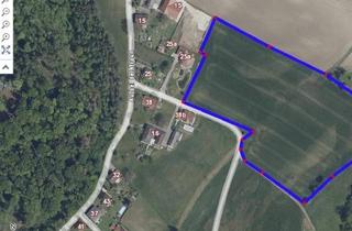 Grundstück zu kaufen in 4623 Gunskirchen, Grundstück für Ackerbau in Gunskirchen Au bei der Traun NEUER PREIS