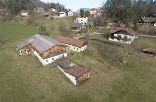 Gewerbeimmobilie kaufen in 2640 Raach am Hochgebirge, arrondiertes landwirtschaftliches Anwesen in ruhiger Lage