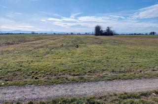Gewerbeimmobilie kaufen in 3464 Seitzersdorf-Wolfpassing, KLEINE ACKERFLÄCHE MIT GUTER BONITÄT IN SEITZERSDORF-WOLFPASSING