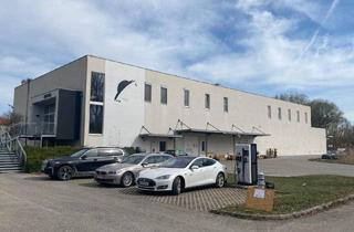 Gewerbeimmobilie kaufen in 2440 Moosbrunn, Moderne Produktionsstätte/Lagerhalle mit Büroflächen zu mieten/zu kaufen