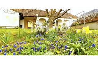 Haus kaufen in 7471 Rechnitz, Hübscher Arkadenhof, idyllischer Garten - Umgeben von Weinbergen und dem beliebten Geschriebenstein