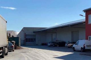 Lager kaufen in 2221 Groß-Schweinbarth, NEUER PREIS !!! Lagerhallen-Büros- geeignet für sämtliche Handels-Gewerbebetriebe, e-Mobilität 320 KW Photovoltaikanlage