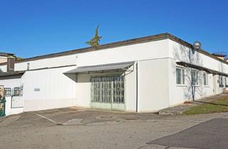 Lager kaufen in 3701 Großweikersdorf, Multifunktionale Lagerhalle mit Weinkeller und Wohn-/Büro-/Praxisräumlichkeiten Nähe TULLN