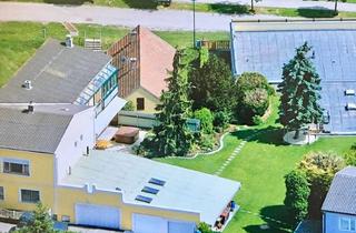 Einfamilienhaus kaufen in 3701 Großweikersdorf, Einzigartiges Liegenschaftspaket! Familiensitz mit Lagerhalle und Gewölbekeller Nähe TULLN