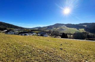 Grundstück zu kaufen in 4162 Julbach, Baugrund Panoramablick