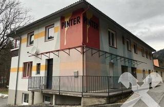 Haus kaufen in 8253 Schmiedviertel, Gewerbe- und Mietshaus mit 2 Mietwohnungen - Viel Platz - großzügige Garagen u. Lagerflächen!