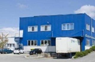 Büro zu mieten in 4622 Eggendorf im Traunkreis, Hallen B Widmung in Eggendorf AKTUELL Halle bis zu 1500 m2 m2 frei mit 2 LKW Rampen frei 1500m 2 frei ab April 2025