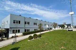 Büro zu mieten in Gewerbestraße, 4622 Eggendorf im Traunkreis, Hallen B Widmung in Eggendorf AKTUELL frei. 670 m2 EG und 1500 m2 im Seitengeschoß