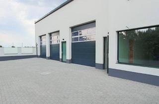 Gewerbeimmobilie kaufen in Industriestraße, 2325 Himberg, 5,29% Mietrendite - Vollvermietete Mehrzweckhalle in Himberg