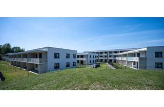 Wohnung mieten in Pottendorfer Straße 216, 2700 Wiener Neustadt, WIENER NEUSTADT XI/1, freifinanzierte Mietwohnung mit Kaufoption, UG, Top 404, 1000/00011961/00001404