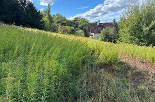 Grundstück zu kaufen in 4782 Sankt Florian am Inn, KAPITALANLAGE - Grundstück ohne Bauzwang nahe Schärding