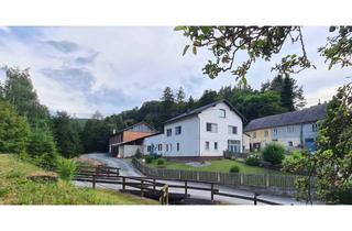 Bauernhäuser zu kaufen in 7442 Lockenhaus, 2.451 m² Liegenschaft mit enormen Platzangebot umgeben von Wäldern und Bächen