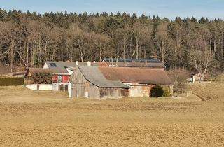 Gewerbeimmobilie kaufen in 7543 Kukmirn, Bauernhof Ensemble mit 360 Grad Grün-Rundumblick + Baugrund – vielfach nutzbar für ein Leben und Arbeiten im Grünen