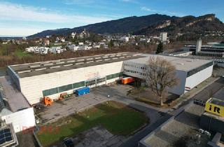 Gewerbeimmobilie kaufen in 6923 Lauterach, Logistik-Meisterklasse in Lauterach: Kommissionier- und Lagerflächen