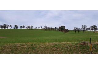 Grundstück zu kaufen in 3352 Sankt Peter in der Au-Markt, Die Gelegenheit! Günstiger Baugrund in St. Johann in Engstetten/St. Peter/Au.