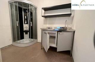 Gewerbeimmobilie kaufen in Barmherzigengasse 17, 1030 Wien, Büro / Praxis in der Barmherzigengasse - Innenhof