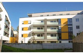 Wohnung kaufen in Kollonitschgasse, 2700 Wiener Neustadt, [06306] Dachterrassenwohnung - Citylife!