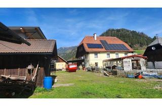 Gewerbeimmobilie kaufen in 9360 Friesach, Kleinlandwirtschaft Metnitztal am Fuße der Grebenzen