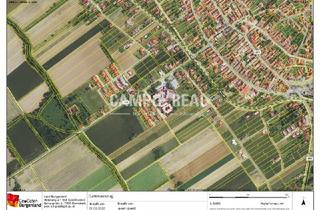 Grundstück zu kaufen in 7503 Großpetersdorf, CAMPO-GRUNDSTÜCK: Grünfläche landwirtschaftlich genutzt