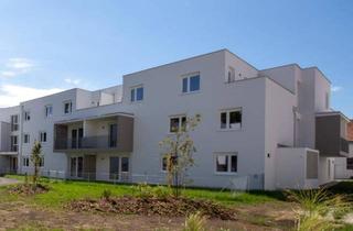 Wohnung mieten in Hammergasse 3-5/1/24, 3150 Wilhelmsburg, Helle Dachterrassenwohnung, hofseitig gelegen