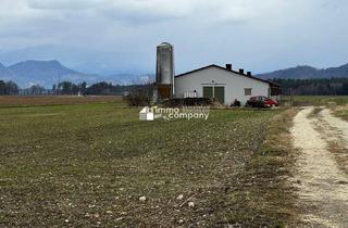 Immobilie kaufen in 9150 Bleiburg, Bauernhof-Träume werden wahr: Großes landwirtschaftliches Areal mit Wirtschaftsgebäude sowie ein Baugrund in idyllischer Lage im Jauntal, Kärnten!