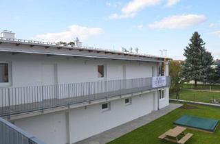 Wohnung mieten in 3202 Hofstetten, Moderne 3-Zimmer Wohnung mit Balkon und Grünblick in Hofstetten