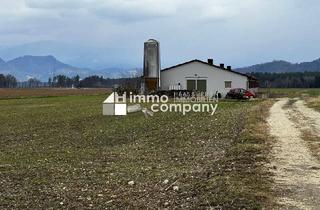 Agrarfläche kaufen in 9150 Bleiburg, Bauernhof-Träume werden wahr: Großes landwirtschaftliches Areal mit Wirtschaftsgebäude sowie ein Baugrund in idyllischer Lage im Jauntal, Kärnten!