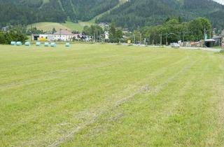  in 8630 Mariazell, MARIAZELL/ST. SEBASTIAN - SONNIGER BETRIEBSBAUGRUND IM BAURECHT