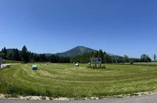  in 8630 Mariazell, MARIAZELL - 3 SONNIGE GEWERBEBAUGRÜNDE IM BAURECHT/BAUPACHT