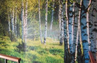 Einfamilienhaus kaufen in 4381 Sankt Nikola an der Donau, TOP PREIS ! - Ein Schnäppchen für Kenner !!