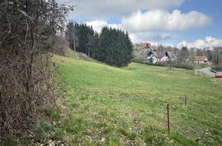 Grundstück zu kaufen in 8330 Gossendorf, Große, sonnige landwirtschaftliche Fläche