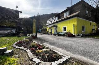 Haus kaufen in 3691 Nöchling, Handwerker/-in gesucht im kleinen Yspertal: liebenswertes Haus zum Sanieren in Nöchling