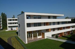 Wohnung mieten in Hinterschweigerstrasse, 4600 Wels, Tolle Atelierwohnung mit Terrasse und Garten