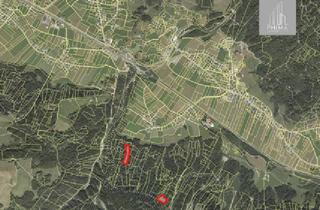 Grundstück zu kaufen in 6900 Bregenz, Gelegenheit - knapp 11.000m2 Wald zu kaufen