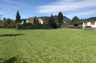 Grundstück zu kaufen in 6900 Bregenz, Sonniges Baugrundstück