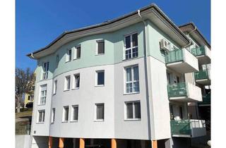 Wohnung mieten in 7222 Rohrbach bei Mattersburg, Profisionsfreie Privatvermietung Klimatisiert