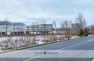 Grundstück zu kaufen in 5201 Seekirchen am Wallersee, Gewidmetes Betriebsgebiet mit viel Potenzial