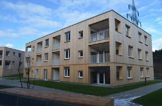 Wohnung kaufen in 6911 Lochau, Gemütliche, vermietete 1-Zimmerwohnung im Erdgeschoss in Bludenz zu verkaufen (vermietet bis 31.05.2028)