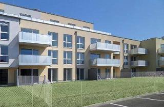 Wohnung mieten in Friedrich-Steinhäufl-Straße 9/7, 3363 Neufurth, Neufurth | geförderte 3 Zimmer Wohnung | Miete mit Kaufoption | Balkon.