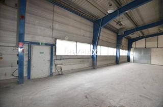 Büro zu mieten in 2333 Leopoldsdorf, 520 m² Lagerhalle in Leopoldsdorf
