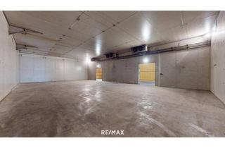 Büro zu mieten in 4611 Buchkirchen, Frostfreie Lagerhalle mit Laderampe