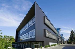 Büro zu mieten in Johann-Roithner-Strasse 131, 4050 Traun, Provisionsfrei! Kleines Büro in modernem Businesspark in Traun