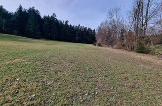 Gewerbeimmobilie kaufen in Gossenreith, 4242 Hirschbach im Mühlkreis, Landwirtschaftliche Nutzfläche knapp ein Hektar - mit kleinem Waldanteil